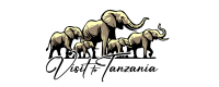 visit to tanzania logo