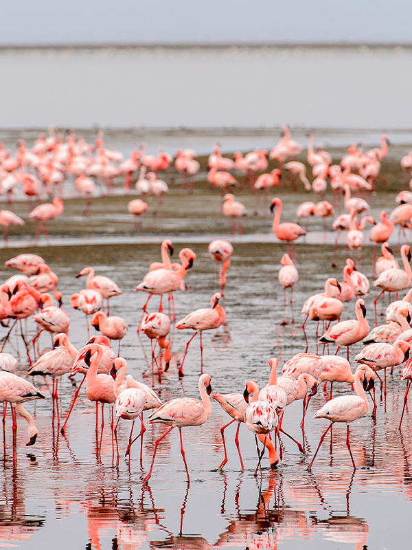 Lake Manyara