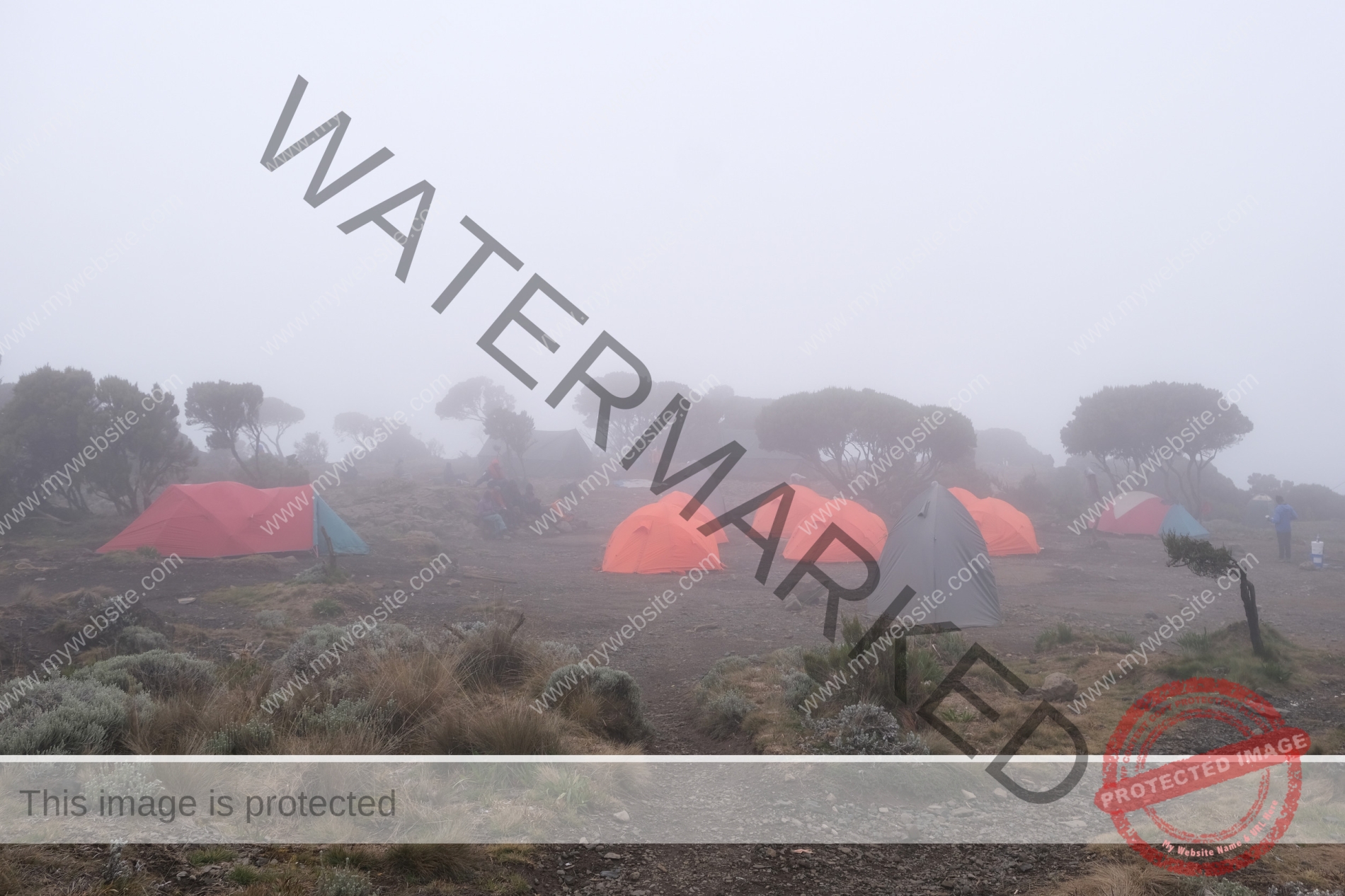 Misty scenery of Shira Camp on trail to Kilimanjaro with tents, Tanzania