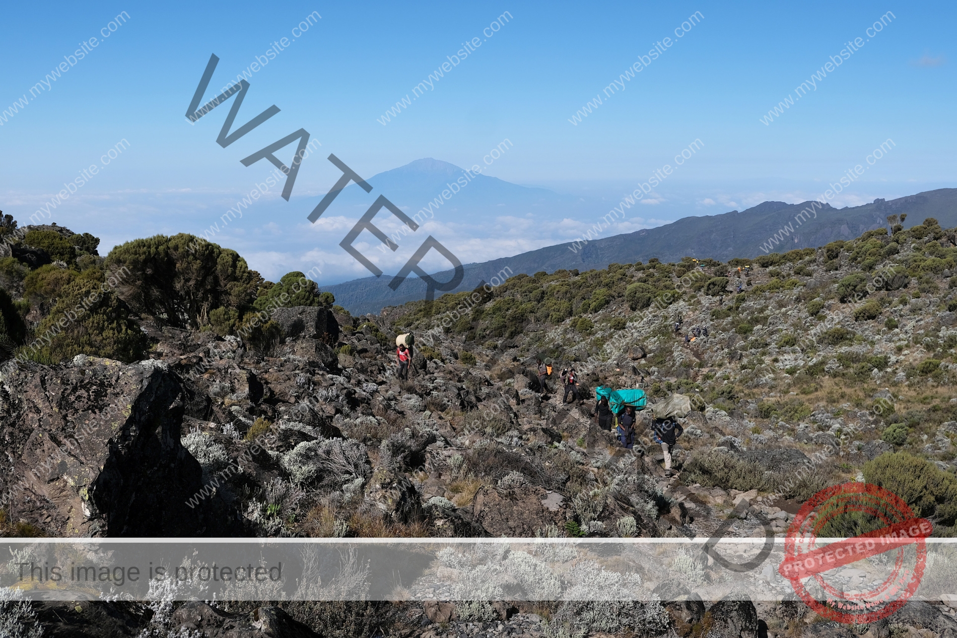 Kilimanjaro, Tanzania: Porters with luggage on Machame Route, Mount Meru on background. Kilimanjaro, trail from Shira Camp to Barranco Hut, Tanzania