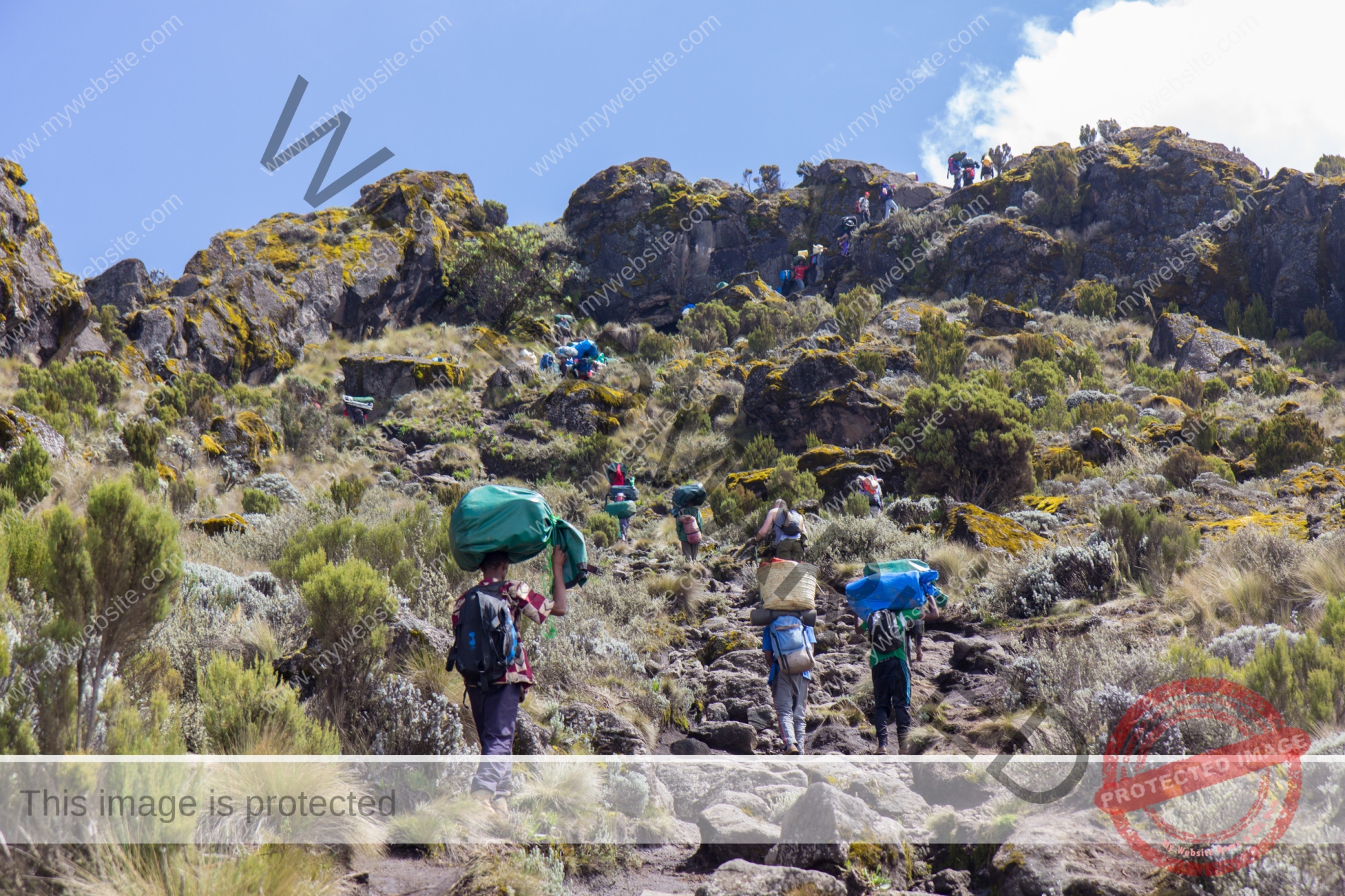 Track on Kilimanjaro on the Machame Route Whiskey, 2 day