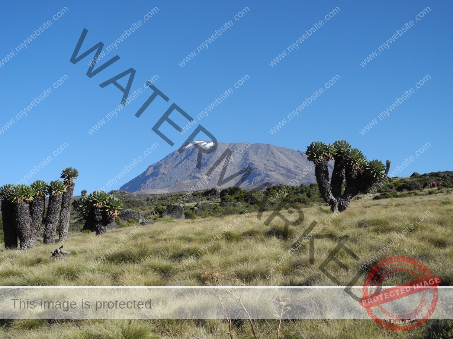 hiking-kilimanjaro-from-horombo-huts-2025-02-12-00-02-29-utc