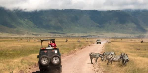 How much does a Tanzania safari cost
